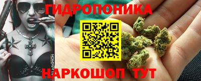 СК Аргун
