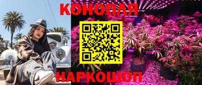 СК Аргун