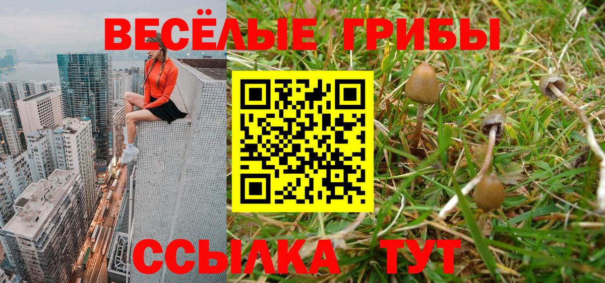 Псилоцибиновые грибы Magic Shrooms Апшеронск