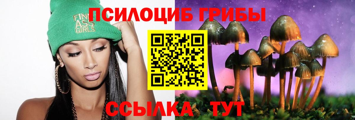 Апшеронск  Псилоцибиновые грибы MAGIC MUSHROOMS  магазин продажи наркотиков  Вход с VPN 