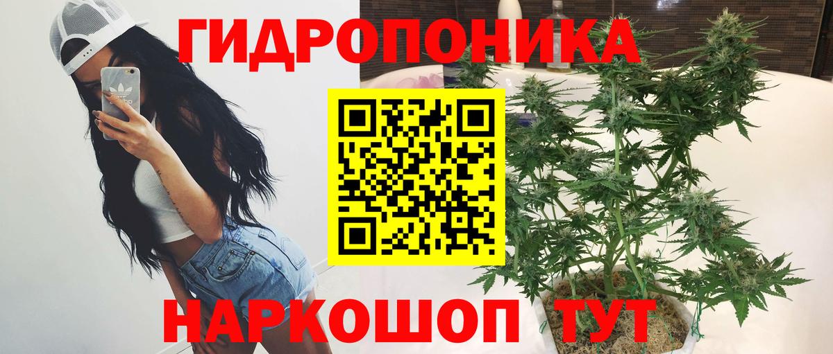 Конопля марихуана Апшеронск